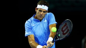 Del Potro deburá frente a David Goffin en el Masters 1000 de Shanghai Del Potro deburá frente a David Goffin en el Masters 1000 de Shanghai