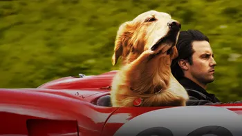 Cuenta la historia sobre un perro y una familia con la que es imposible no llorar Cuenta la historia sobre un perro y una familia con la que es imposible no llorar