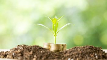 La emisión monetaria puede contribuir a la sostenibilidad ambiental. La emisión monetaria puede contribuir a la sostenibilidad ambiental.