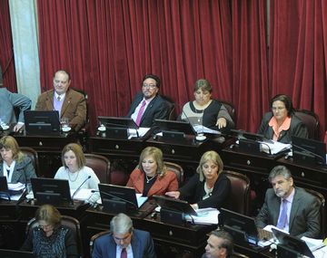 El Senado aprobó el pliego de designación de Garré en la OEA