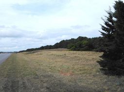 Hallan el cuerpo de un nene mutilado en ruta 11 Hallan el cuerpo de un nene mutilado en ruta 11