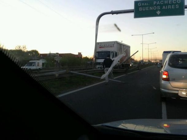 Demoras en la Panamericana por el choque de un camión