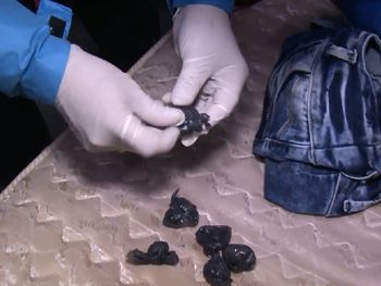 Cayeron las tigresas peruanas: distribuían cocaína en Once
