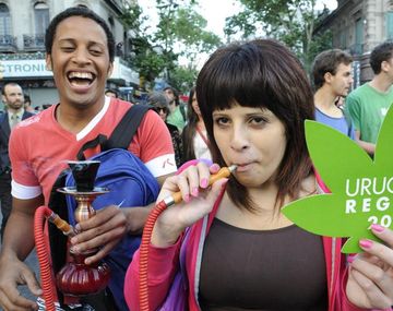 ¿Cómo funcionará el mercado de marihuana en Uruguay?