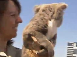 un temible ex boxeador le tiene miedo a un tierno animal un temible ex boxeador le tiene miedo a un tierno animal