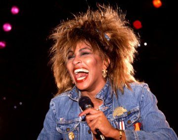 Bronca entre fanáticos por una estatua de Tina Turner: qué pasó