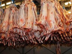 El gobierno continúa trabajando en los acuerdos sanitarios para exportar carne ovina y vacuna a Indonesia y Malasia. El gobierno continúa trabajando en los acuerdos sanitarios para exportar carne ovina y vacuna a Indonesia y Malasia.