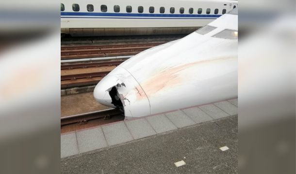 Las autoridades encontraron los restos de un hombre de 52 años en la trompa del tren bala