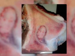 conmocion en san juan: aparecio una imagen de la virgen... ¡en un osobuco! conmocion en san juan: aparecio una imagen de la virgen... ¡en un osobuco!