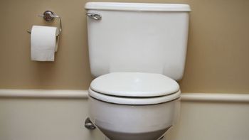 ¡un asco! levanta la tapa del inodoro y encuentra 40 ranas ¡un asco! levanta la tapa del inodoro y encuentra 40 ranas