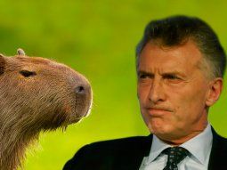 ¿Macri solidario con vecinos de Nordelta? Le molestan los carpinchos