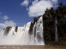 hallan muerto a docente acusado de abuso sexual hallan muerto a docente acusado de abuso sexual