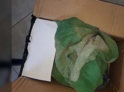 Compró una soldadora por Mercado Libre pero le llegó una frazada sucia