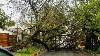 El fuerte temporal afectó a toda la Costa Atlántica