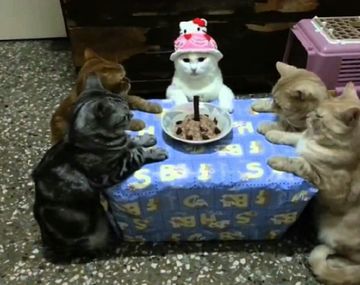 Macri se tomó vacaciones por su cumpleaños y en las redes no faltaron los memes