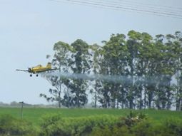 Un avión fumigó cerca de una casa