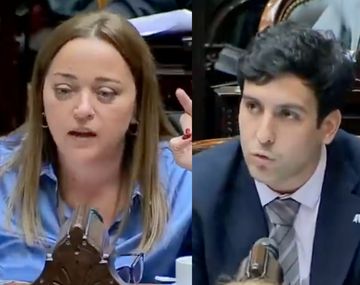 La corrección de Cecilia Moreau a un diputado libertario que se volvió viral