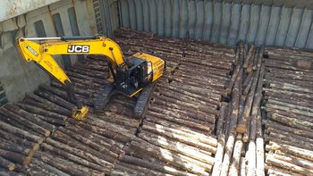 Las exportaciones de pino continúan en franco descenso. Las exportaciones de pino continúan en franco descenso.