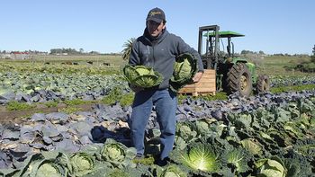 Los precios a los productores aumentaron más de un 4% en el primer trimestre de 2023. Los precios a los productores aumentaron más de un 4% en el primer trimestre de 2023.
