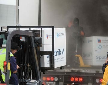 Cuántas vacunas de las que llegaron irán a cada provincia