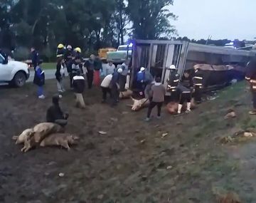 La escena quedó registrada por los propios vecinos dela zona