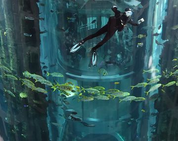 Estalló el acuario cilíndrico más grande del mundo: varios heridos y miles de peces muertos