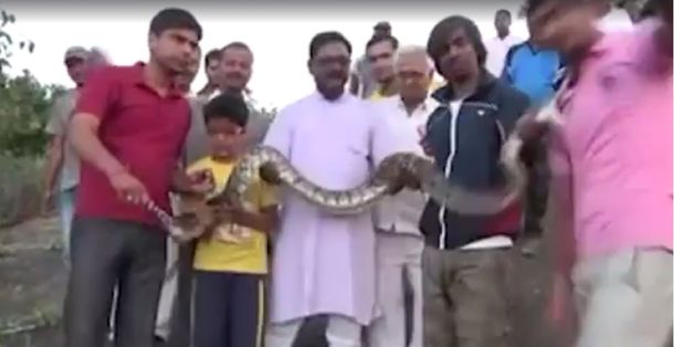 VIDEO: conocé a la serpiente que no quería salir en la foto