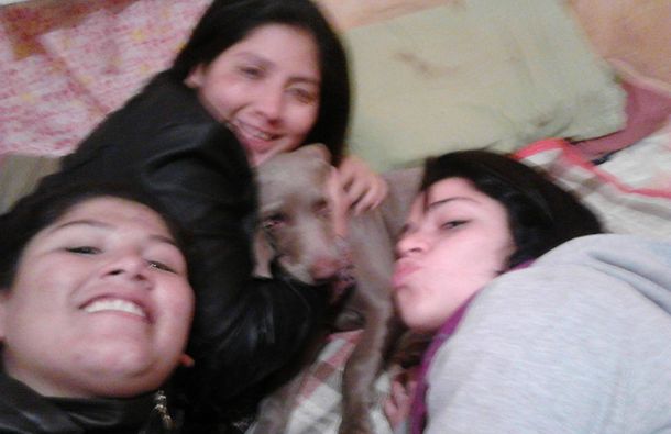 VIDEO: robaron una perra, fueron escrachados y terminaron presos