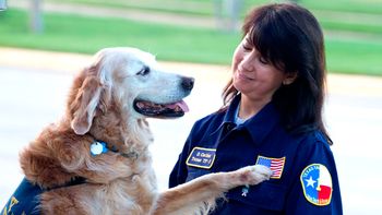 murio bretagne, la ultima perra heroina del atentado de las torres gemelas murio bretagne, la ultima perra heroina del atentado de las torres gemelas
