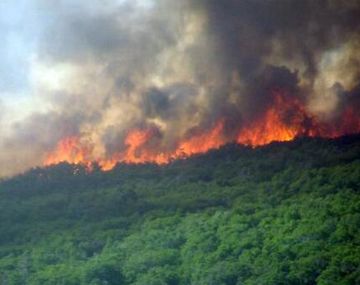 Neuquén pide ayuda a Chile por los incendios en Aluminé