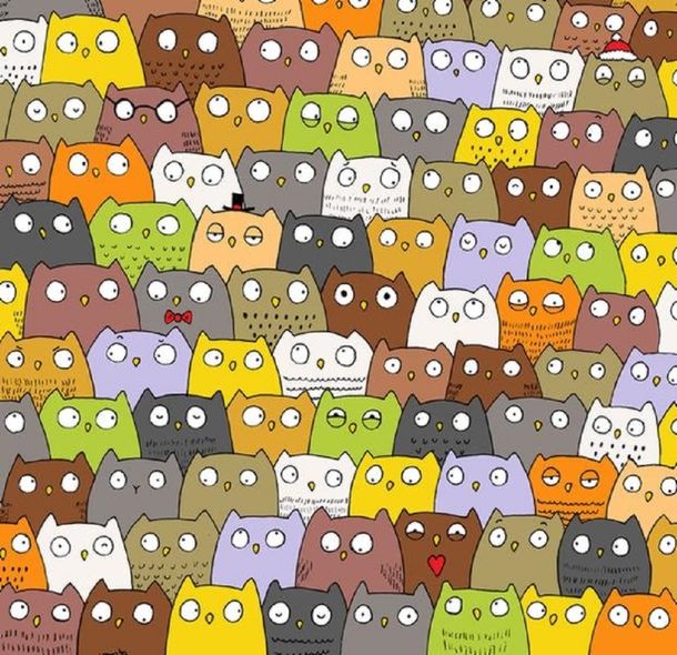 ¿Podés encontrar al gato? La nueva imagen que vuelve loco a los internautas