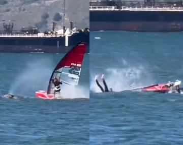 Impacto inesperado en el agua: un windsurfista chocó contra una ballena en plena práctica