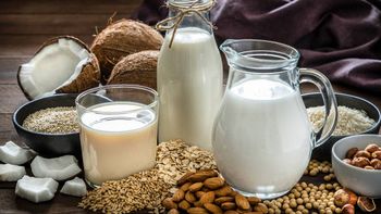 No es Lala: la empresa de CDMX que nació como una unión de productores y hoy es uno de los mayores imperios lácteos de México No es Lala: la empresa de CDMX que nació como una unión de productores y hoy es uno de los mayores imperios lácteos de México