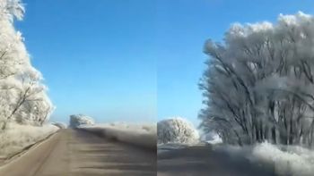 Ola de frío polar y bosque de hielo: impactante video de un camino congelado en Buenos Aires Ola de frío polar y bosque de hielo: impactante video de un camino congelado en Buenos Aires