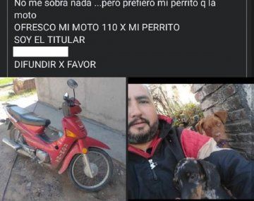 Conmovedora historia viral: ofreció su moto como recompensa para recuperar a su perro perdido