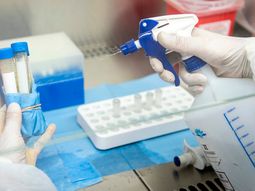 El 95% de los que tuvieron coronavirus desarrollaron los anticuerpos 45 días después
