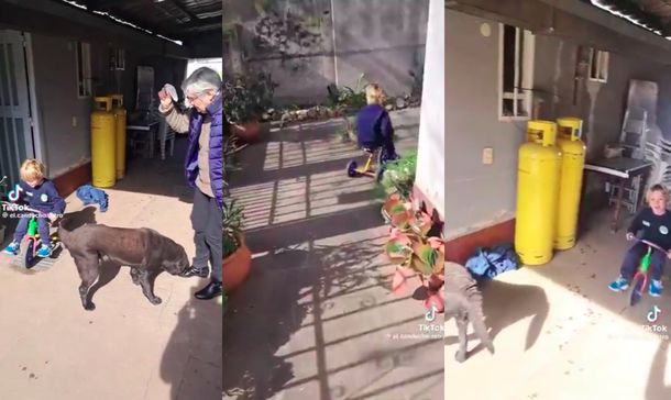 ¡Qué tiempazo!: un abuelo jugó a Franco Colapinto con su nieto y se volvió el viral más tierno