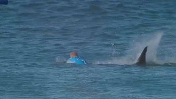 video: mira el feroz ataque de un tiburon a famoso surfista en una competencia video: mira el feroz ataque de un tiburon a famoso surfista en una competencia