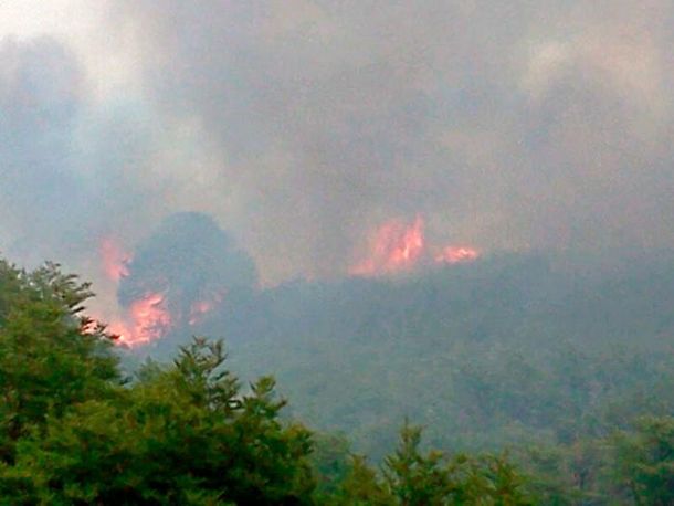 Los incendios forestales se agravan en Neuquén y declaran el estado de emergencia