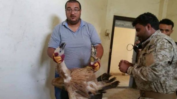 Hisham al-Hoot viajó desde Sana a Taiz para rescatar a Nelson