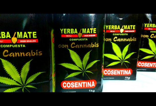 Uruguay comenzará a vender yerba mate con cannabis