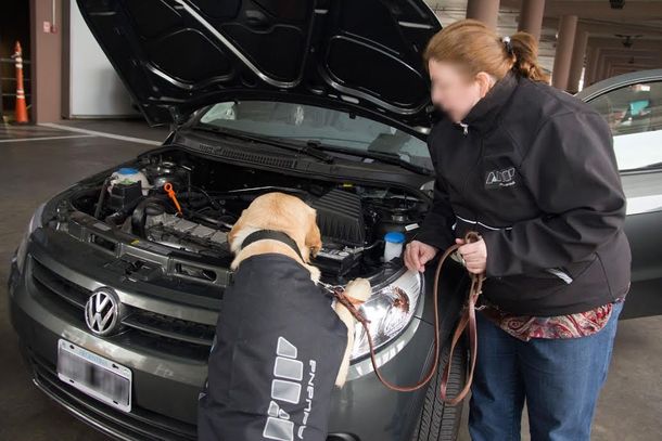 Descubren a un hombre que quería cruzar a Uruguay con US$86 mil ocultos en el auto