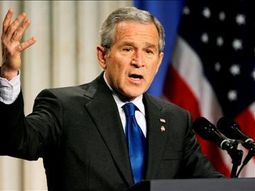 Bush1