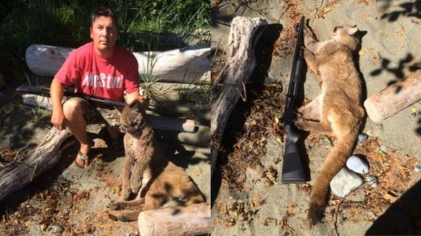Hombre se peleó a golpes con un puma para salvar a su perro salchicha