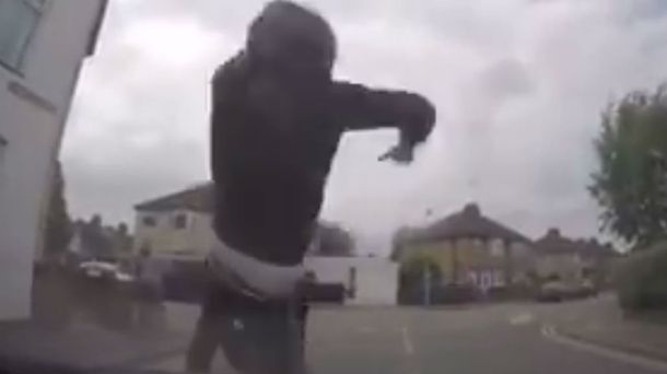 Caranchos en plena acción