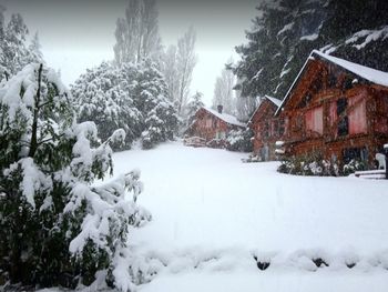 Cambiaron las alertas: en qué provincias puede haber nevadas fuertes este jueves