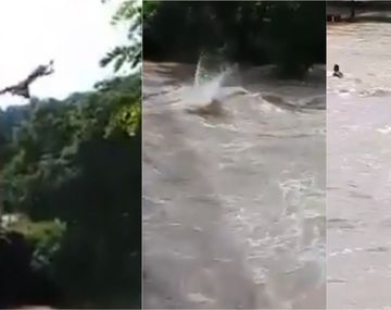 VIDEO: Jóvenes imprudentes se tiraron desde un puente al río en plena crecida