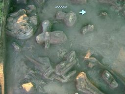 Arqueologia_santafe1 telam chiquito