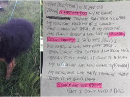 La abandonaron con un carta: No necesito un perro La abandonaron con un carta: No necesito un perro