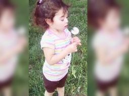 Donan los órganos de una nena de 2 años que murió atropellada